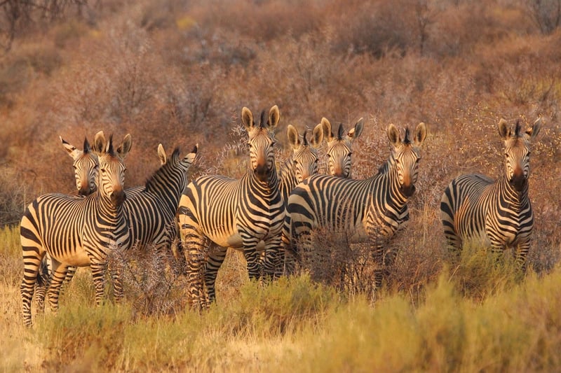 South Africa Mountains